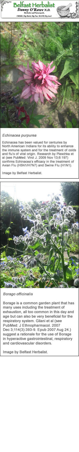 Profile picture for Belfast Herbalist