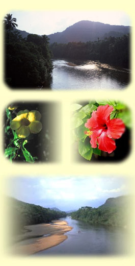 Profile picture for Ayurvedic Natural Health Clinic