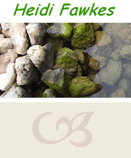 Profile picture for Heidi Fawkes